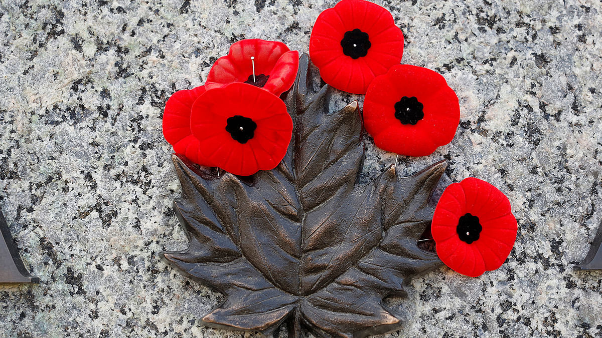 Poppies are pictured after being placed on the National War Memorial following Remembrance Day ceremonies in Ottawa, Ontario, Canada, November 11, 2016. Photo: Reuters