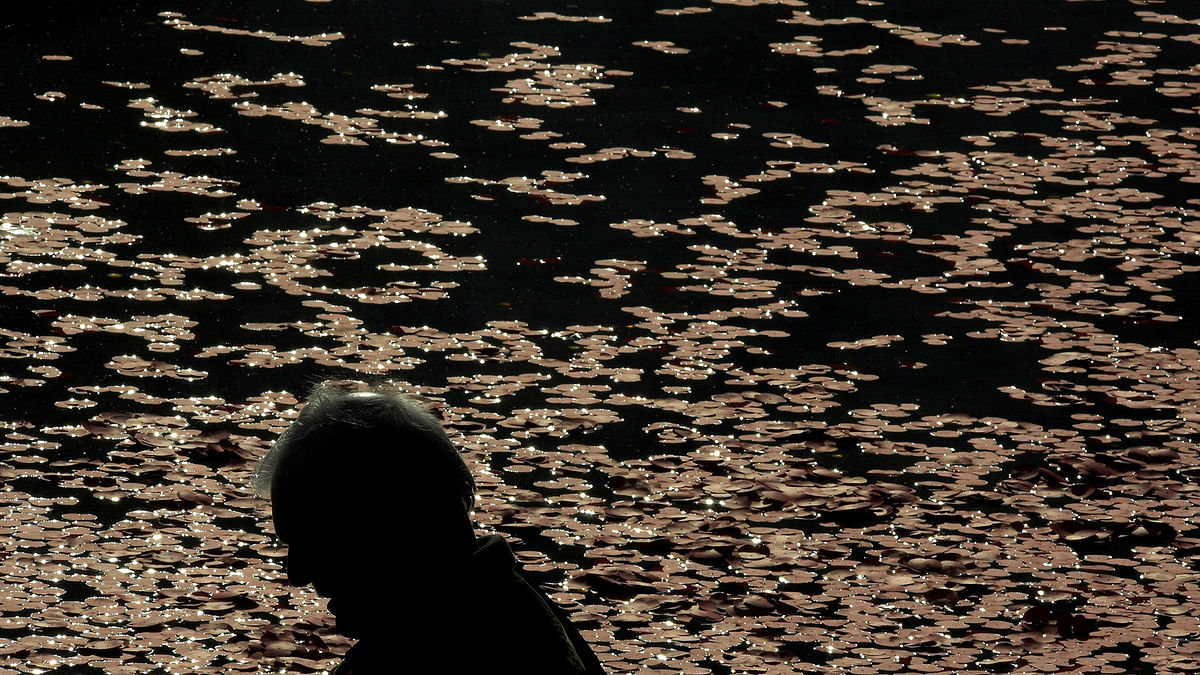 A man views hundreds of commemorative poppies floating in a fountain during an Armistice Day event at Trafalgar Square in London, Britain, November 11, 2016. Photo: Reuters