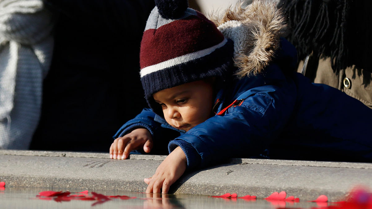 A boy places a poppy in a fountain during an Armistice Day event at Trafalgar Square in London, Britain November 11, 2016. Photo: Reuters