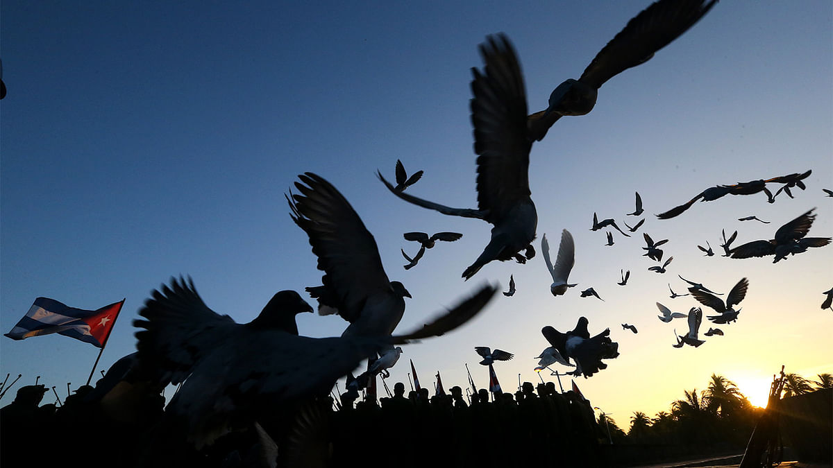 Pigeons flys as Cubans participate in the celebration of the 60th anniversary of the arrival of Fidel Castro and fellow revolutionaries in the Granma yacht, in Playa Las Coloradas, Cuba, December 2, 2016. Photo: Reuters