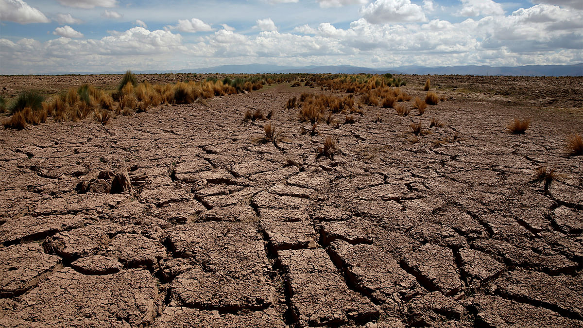 A dried farmland is seen during the worst drought in 25 years in El Choro, Bolivia, December 1, 2016. Picture taken in December 1, 2016. Photo: Reuters