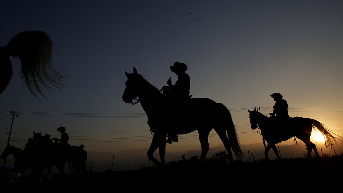 People ride their horses during the annual pilgrimage in honor of Mexico`s patron saint Virgin of Guadalupe in Garcia, Mexico, December 12, 2016. Photo: Reuters