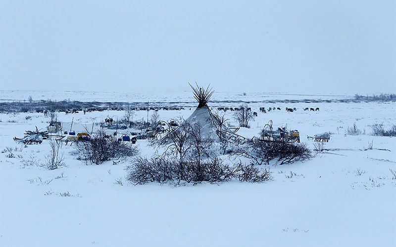 A view shows a tent belonging to reindeer herders in the tundra area in Nenets Autonomous District, Russia, November 27, 2016. Picture taken November 27, 2016. Photo: Reuters