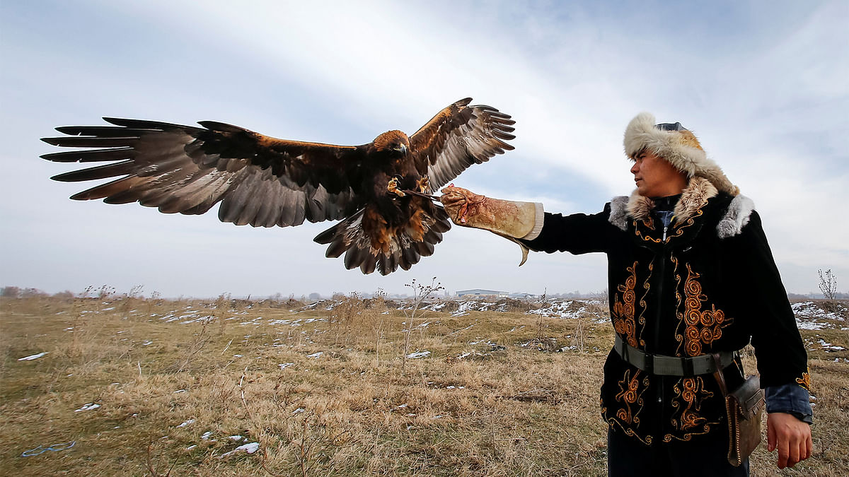 Arman Kushkarov, a hunter with a golden eagle, raises a hand for landing of his tamed bird during training outside of the village of Shamalgan, in Almaty region, Kazakhstan, December 14, 2016. Picture taken December 14, 2016. Photo: Reuters