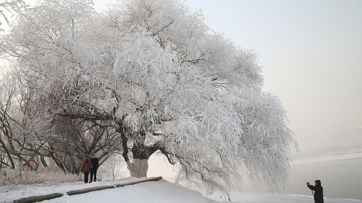 A man captures rime at a park beside a river in Shenyang, Liaoning province, China December 15, 2016. Photo: Reuters