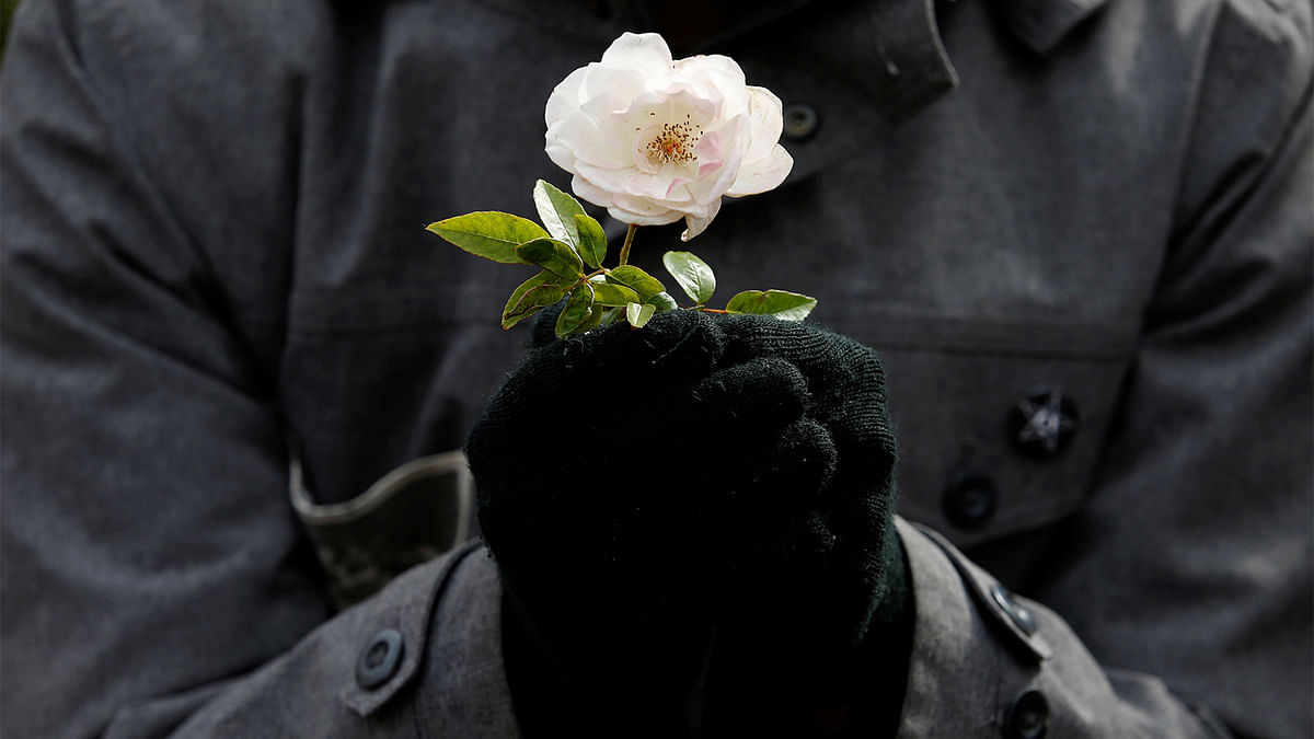 A protester holds a flower during a demonstration to show solidarity with the citizens of Aleppo, Syria, outside the prime minister`s residence in Jerusalem. Photo: Reuters