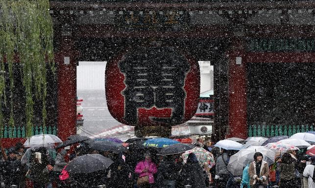 Tourists are seen in front of the Kaminarimon gate during the first November snowfall in 54 years in Tokyo, at Senso-ji Temple in Tokyo`s Asakusa district, Japan on 24 November 2016. Photo: Reuters