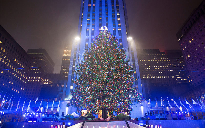 The Christmas tree stands lit after the lighting ceremony for the 84th annual Rockefeller Center Christmas Tree in New York. Photo: Reuters