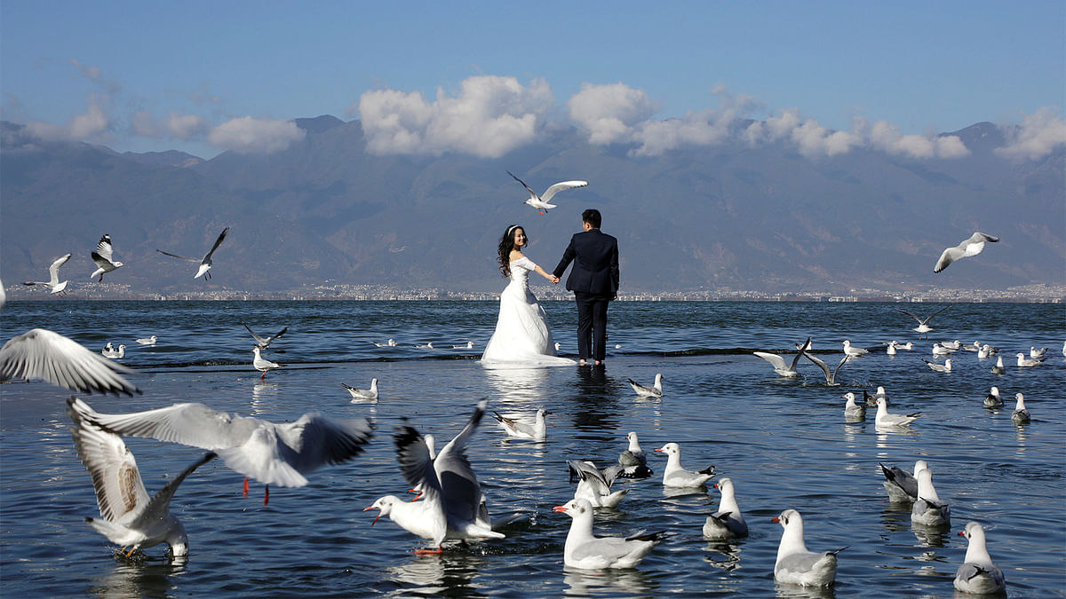 A couple pose for a wedding photo at Erhai lake in Dali, southwest China`s Yunnan province December 28, 2016.Photo: Reuters