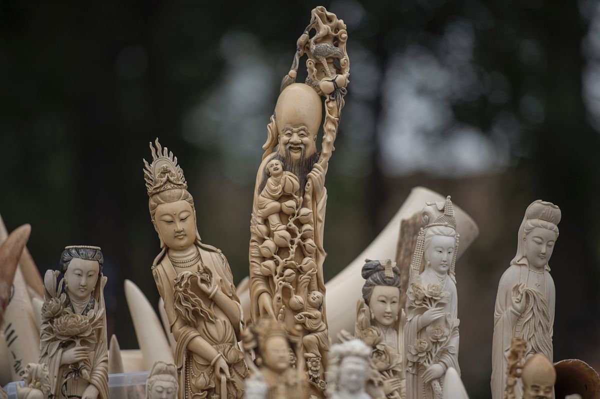 This file photo taken on May 29, 2015 shows carved ivory being shown to the media before being destroyed in Beijing. Photo: AFP