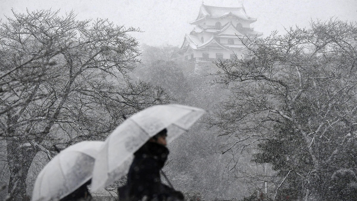 Hikone Castle is seen in the snow in Hikone, in Shiga Prefecture, Japan, in this photo taken by Kyodo January 14, 2017. Photo: Reuters