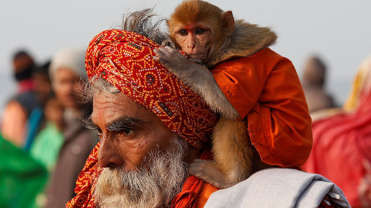 A Sadhu or a Hindu holy man carrying his pet monkey walks after taking a dip at the confluence of the river Ganges and the Bay of Bengal on the occasion of `Makar Sankranti` festival at Sagar Island, south of Kolkata, India, January 14, 2017. Photo: Reuters