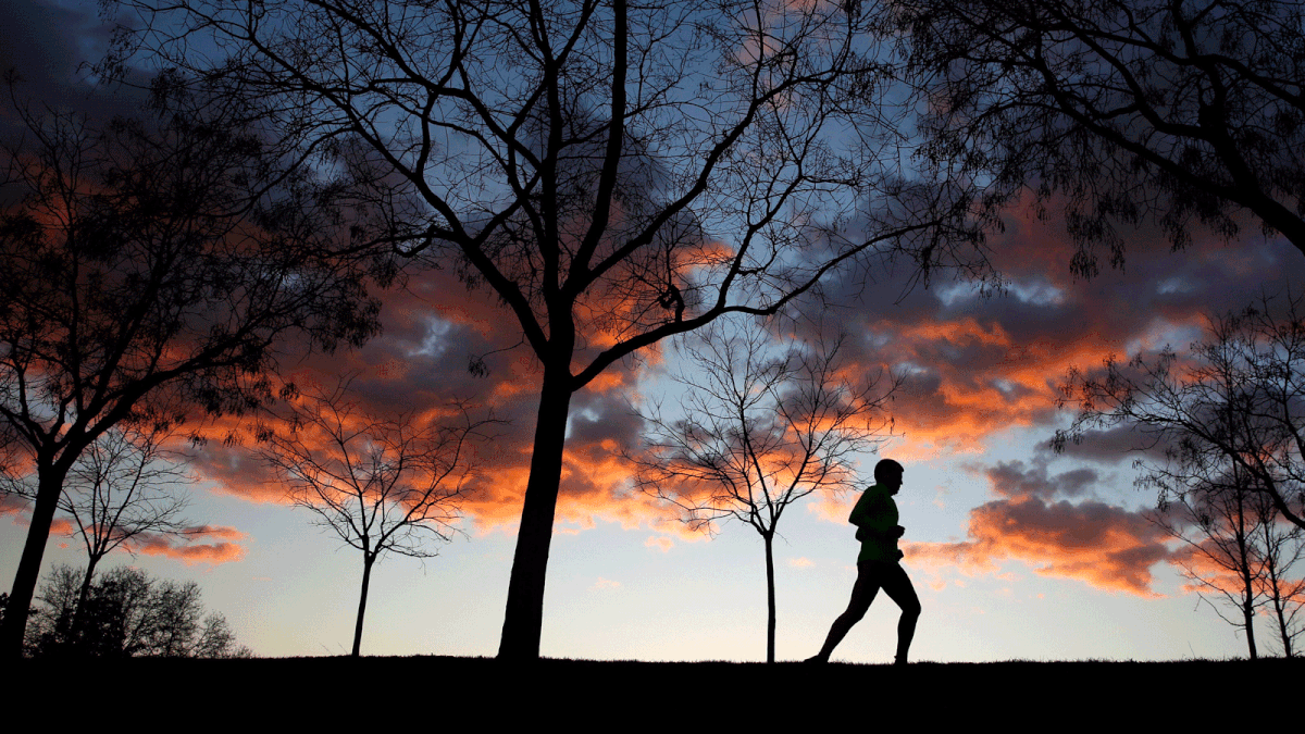 A man runs in a park in Madrid. Photo: Reuters