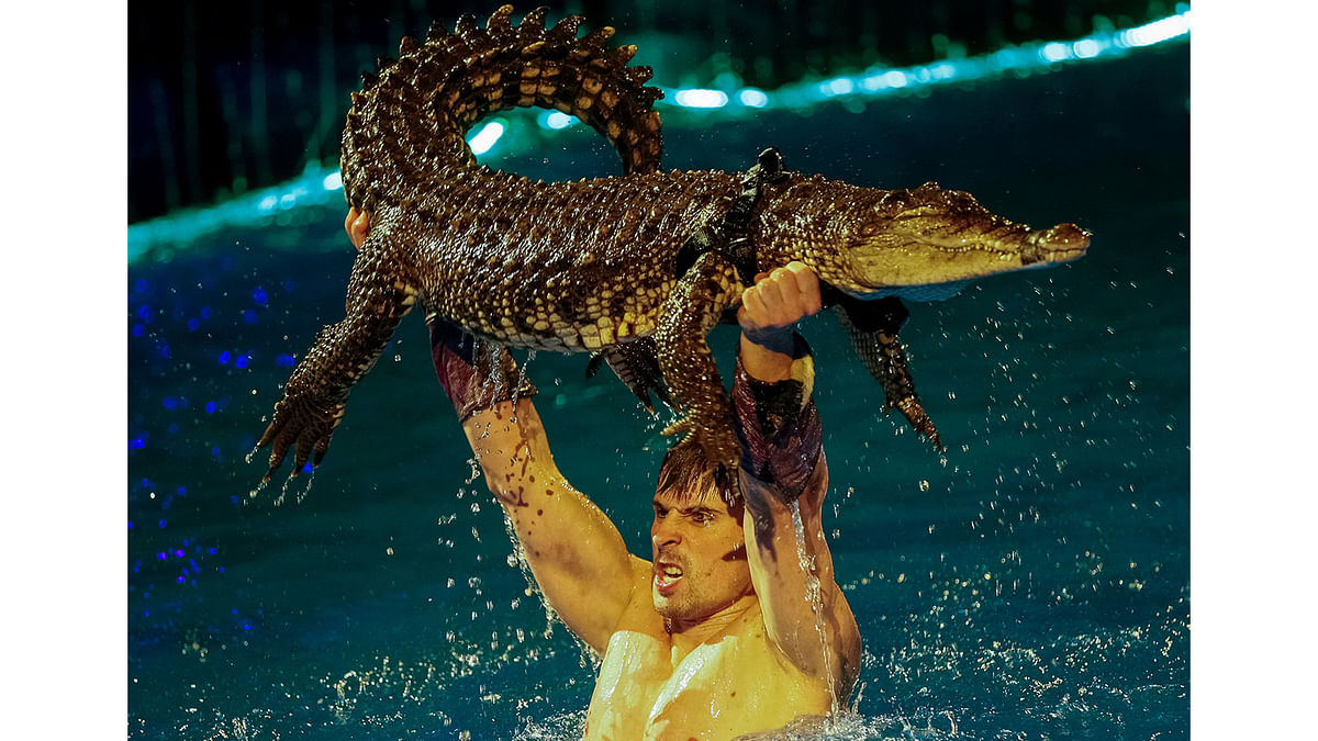 A crocodile and its tamer perform during the presentation of the new show `Water and Fire` at the National Circus in Kiev, Ukraine, February 16, 2017. Photo: Reuters