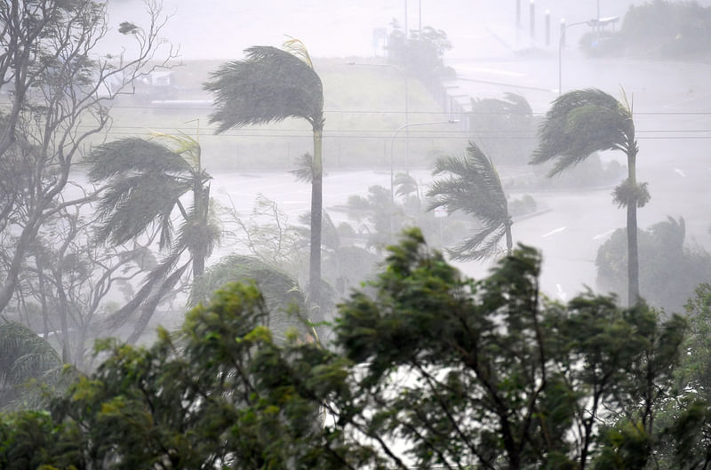 Strong wind and rain from Cyclone Debbie is seen effecting trees at Airlie Beach, located south of the northern Australian city of Townsville. Photo: AFP