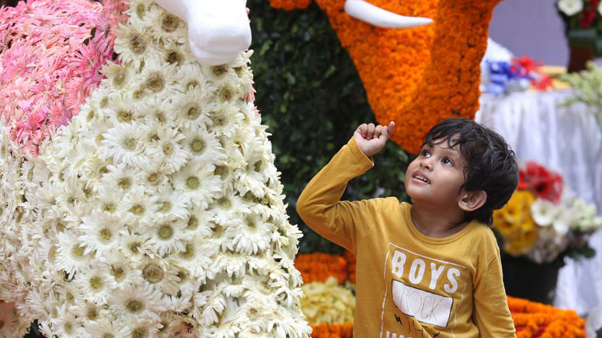 A child reacts while attending flower festival at  Bangla Academy. Photo: Abdus Salam