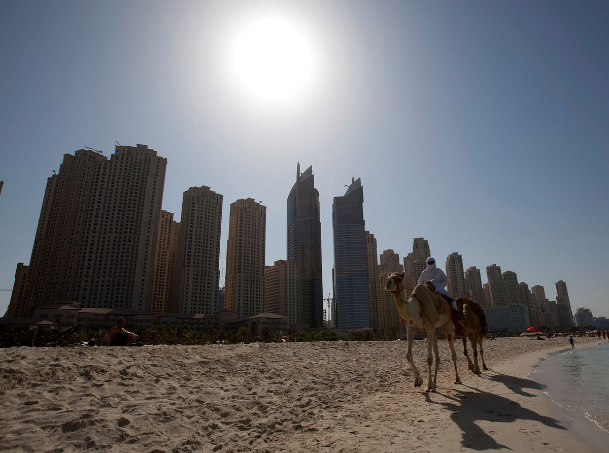 Camels walk on Jumeirah Beach in front of tower blocks in Dubai. Reuters