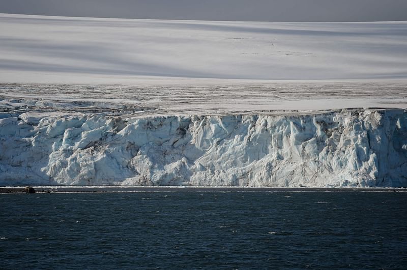 A view of Yankee Harbour in the South Shetland Islands, Antarctica. Plant life is growing on Antarctica like never before in modern times, fueled by global warming which is melting ice and transforming the landscape from white to green. Photo: AFP