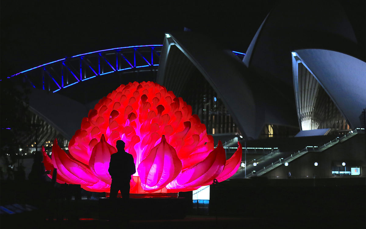 The Sydney Opera House and Sydney Harbour Bridge can be seen behind a man standing in front of an illuminated waratah flower installation during a preview at the Royal Botanic Garden Sydney for the upcoming Vivid Sydney festival of light and sound in Sydney, Australia, May 24, 2017. Photo: Reuters