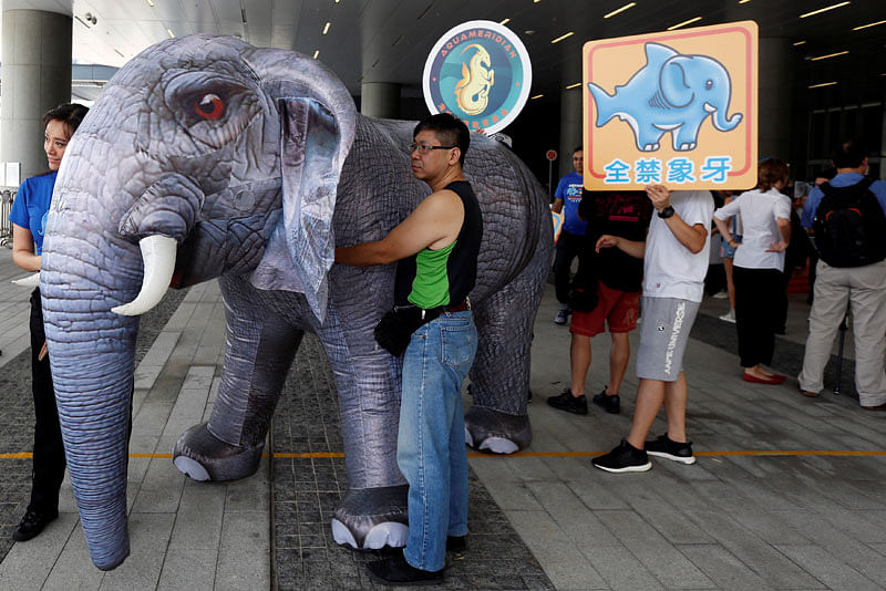 Activists, seeking to ban elephant ivory trade, protest outside the Legislative Council in Hong Kong. Reuters