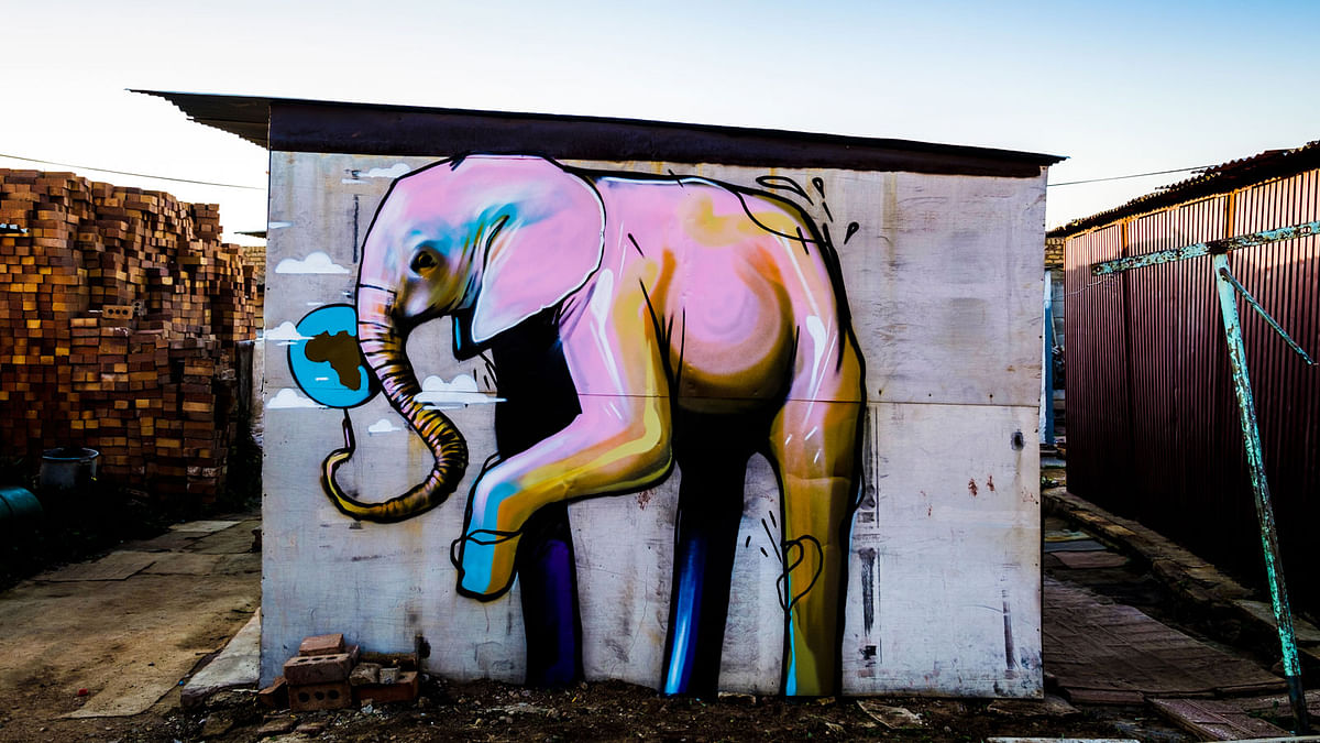 Falko`s street art seen at the Red Bull Amaphiko in Mamelodi, South Africa on May 23, 2017, 2017. Reuters