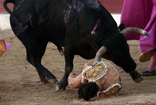 Spanish matador Ivan Fandino is impaled by a Baltasar Iban bull during a bullfight at the Corrida des Fetes on June 17, 2017 in Aire sur Adour, southwestern France. AFP