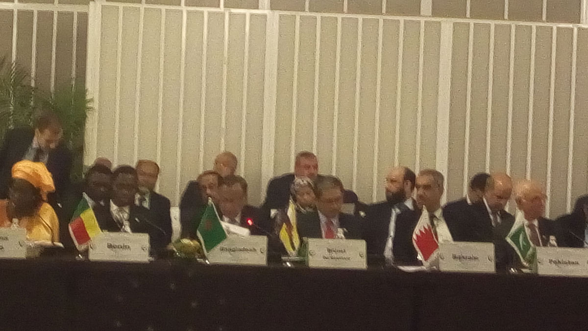 Member participating at a meeting of Organisation for Islamic Cooperation (OIC)