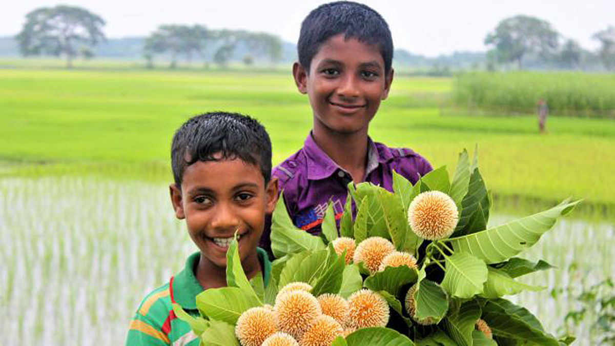 Two children smiling with a bunch of kadam flowers on Friday in Jessore. Photo: Ehsan-Ud-Daula