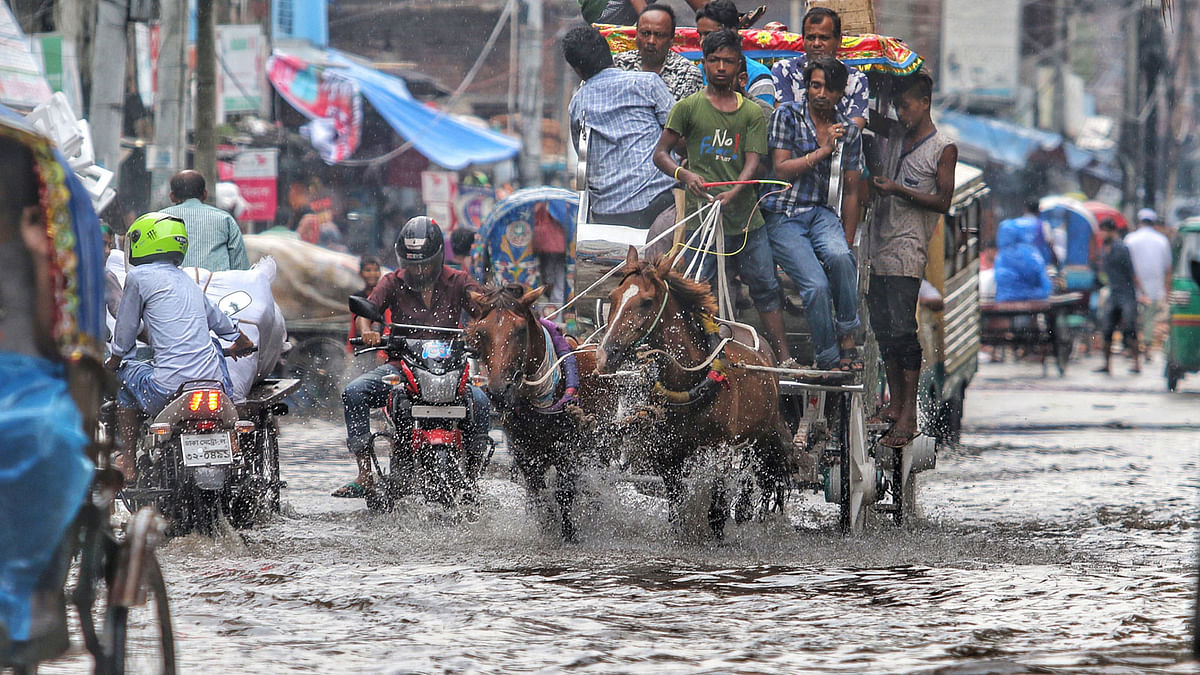A horse carriage is wading through waterlogged Ananda Bazaar area of Secretariat road in Dhaka. The picture was taken on Wednesday afternoon. Photo: Saiful Islam.
