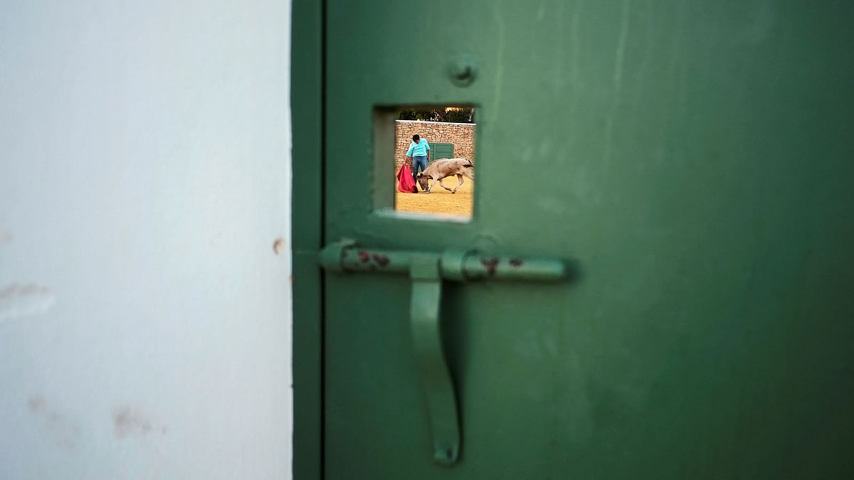 Spanish bullfighter Juan Mora is seen through a small window of a door as he performs a pass to a heifer during a `tentadero` at Reservatauro Ronda cattle ranch in Ronda. Reuters