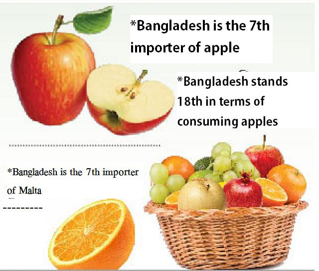 Fruits import