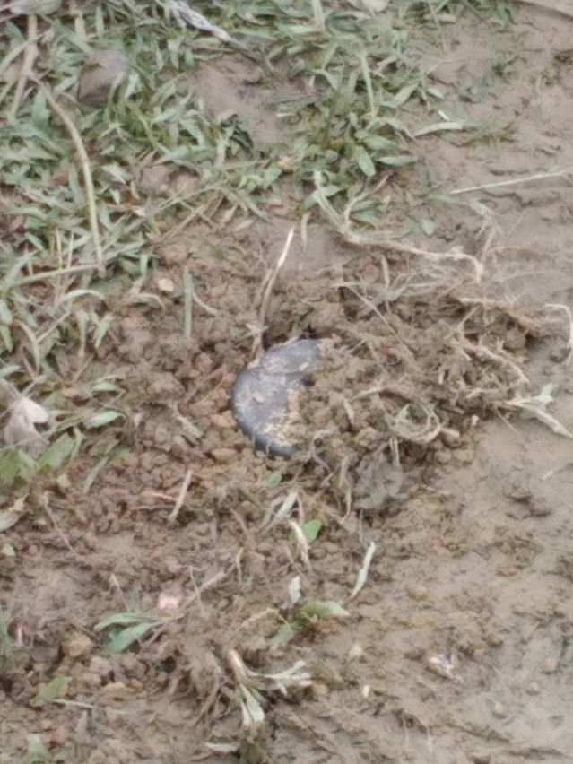 One of many images which Amnesty International verified, showing a landmine buried near the border. Photo: Amnesty International