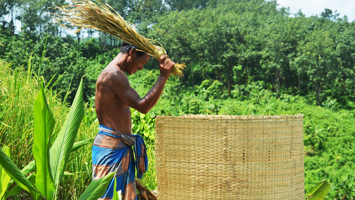 A man is husking rice in Dighinala, Khagrachhai. Photo: Palash Barua