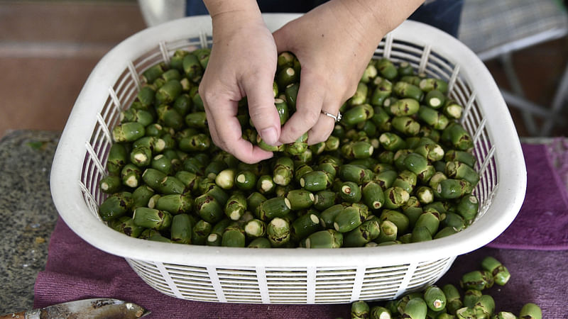 A woman sorting out betel nuts in Nantou, central Taiwan. Since a 2003 study confirmed betel nut as a carcinogen there has been a gradual decline in popularity, although around two million people still chew the nut, according to government figures. AFP file photo