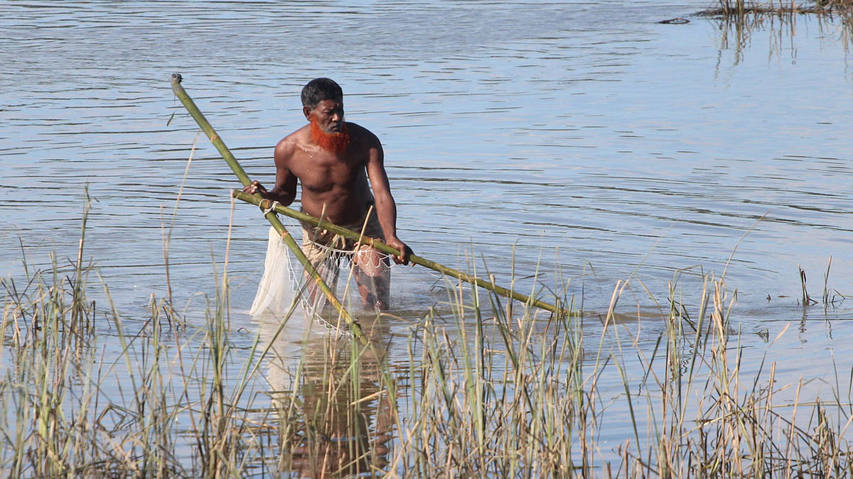 Catching fish with a net in the morning. 7 October,Haripur, Jaintapur, Sylhet. Photo: Anis Mahmud