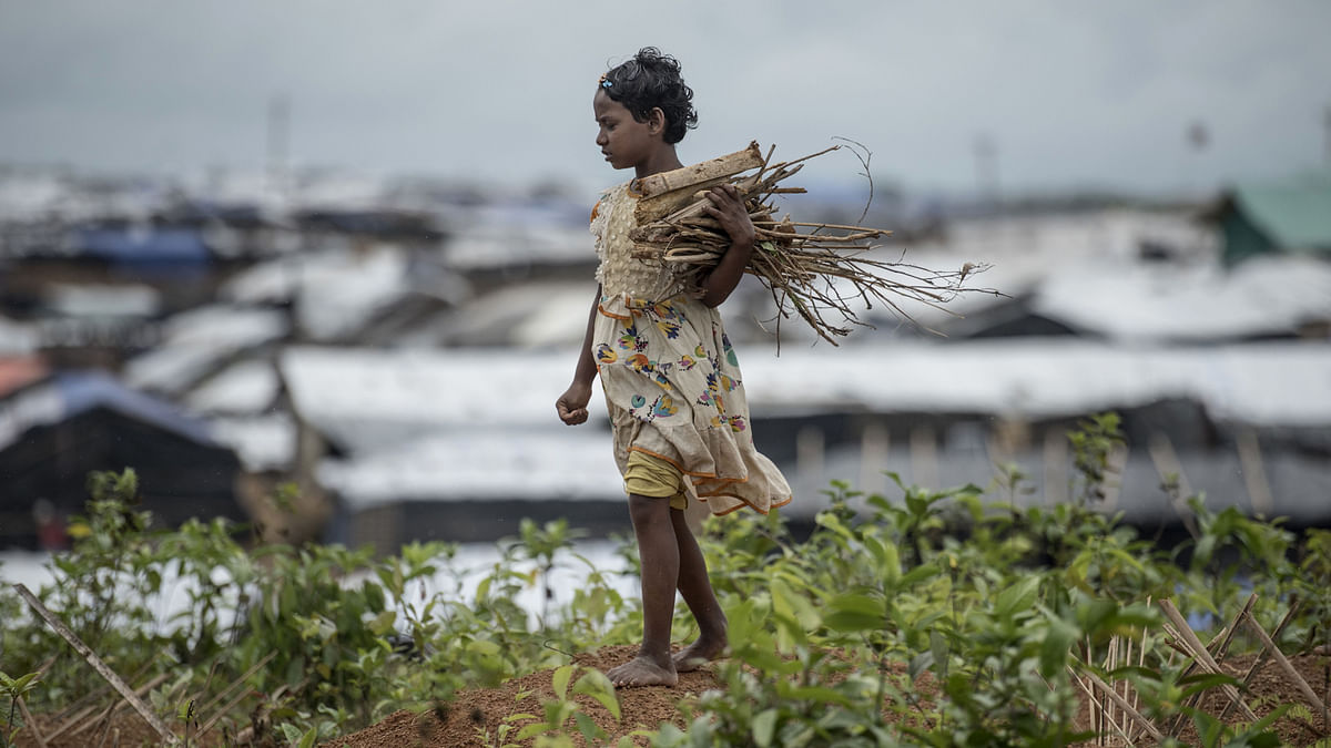 A young Rohingya Muslim refugee collects wood among graves at Kutupalong refugee Camp in Bangladesh`s Ukhia district on 7 October, 2017. Photo: AFP