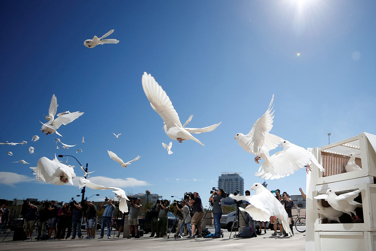Doves are released for each victim of the Route 91 Harvest music festival mass shooting at City Hall plaza in Las Vegas, Nevada, US, 7 October, 2017. Photo: Reuters