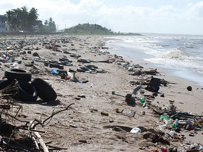 The litter problem on the coast of Guyana in 2010. File photo