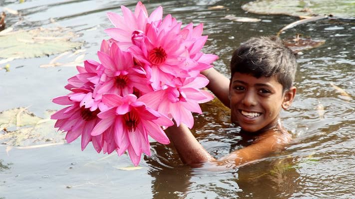A child beams happily with a bunch of red water lilies. Govt Azizul Haque College, Bogra, 22 November. Photo: Soel Rana