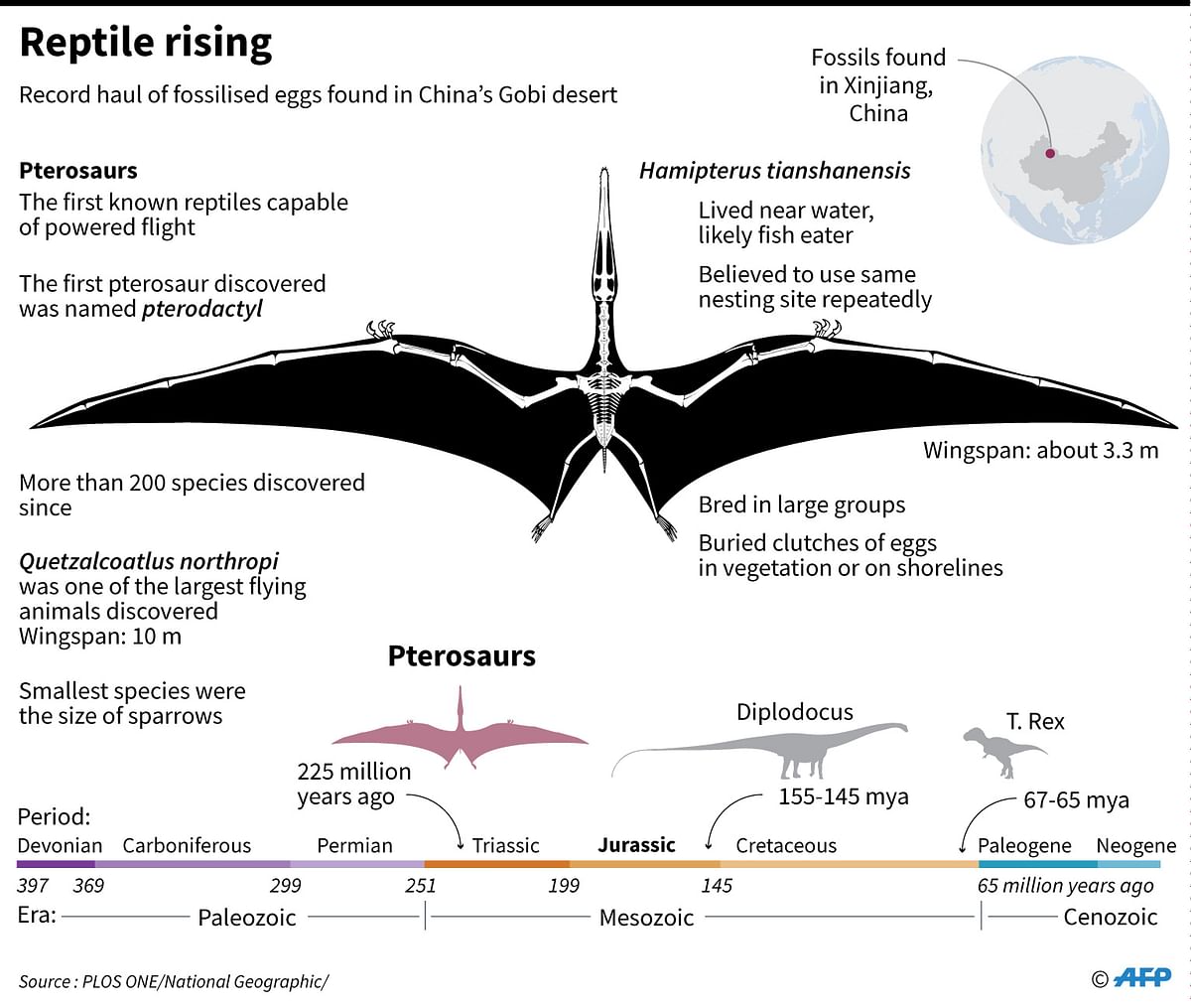 Factfile on pterosaurs. Photo: AFP