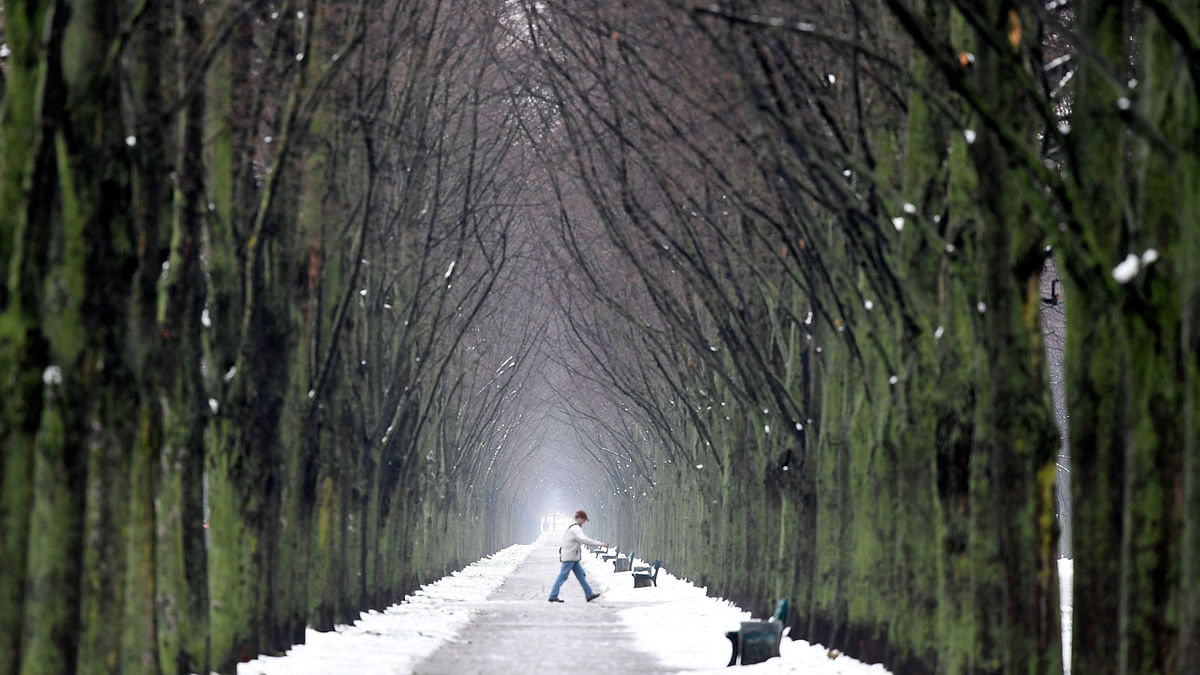 A person walks in an alley at the `Herrenhauser Garten` Park in Hanover, Germany. 3 December 2017. Photo: Reuters