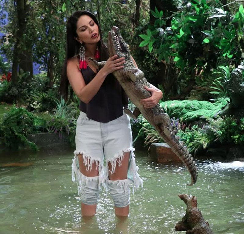 Sunny Leone to host Indian version of 'Man Vs Wild