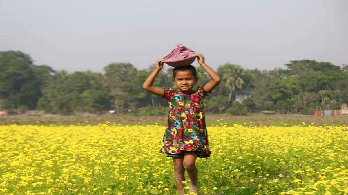 A little girl brings a meal to her father working in a dazzling yellow mustard field in Sirajganj`s Ullapara. Photo: Prothom Alo