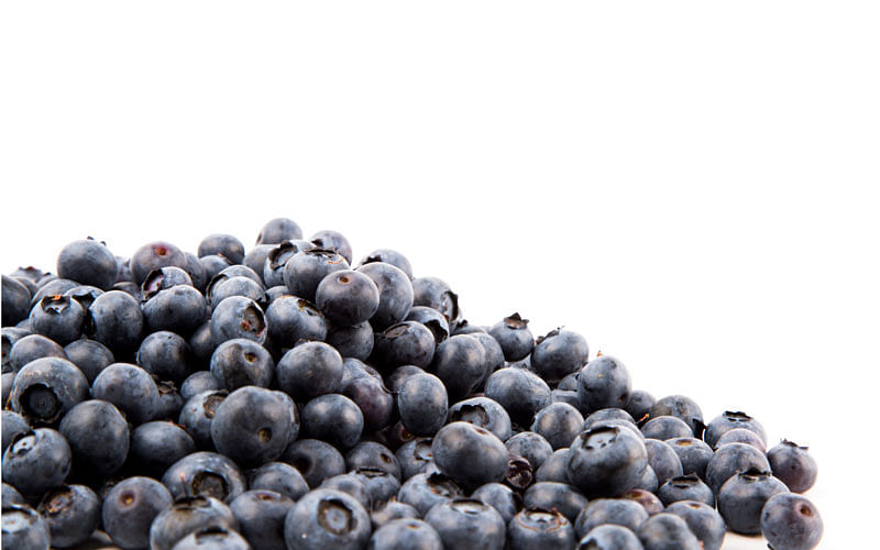 Study shows consuming blueberry has a positive outcome for cervical cancer. Photo: PublicDomainPictures.net