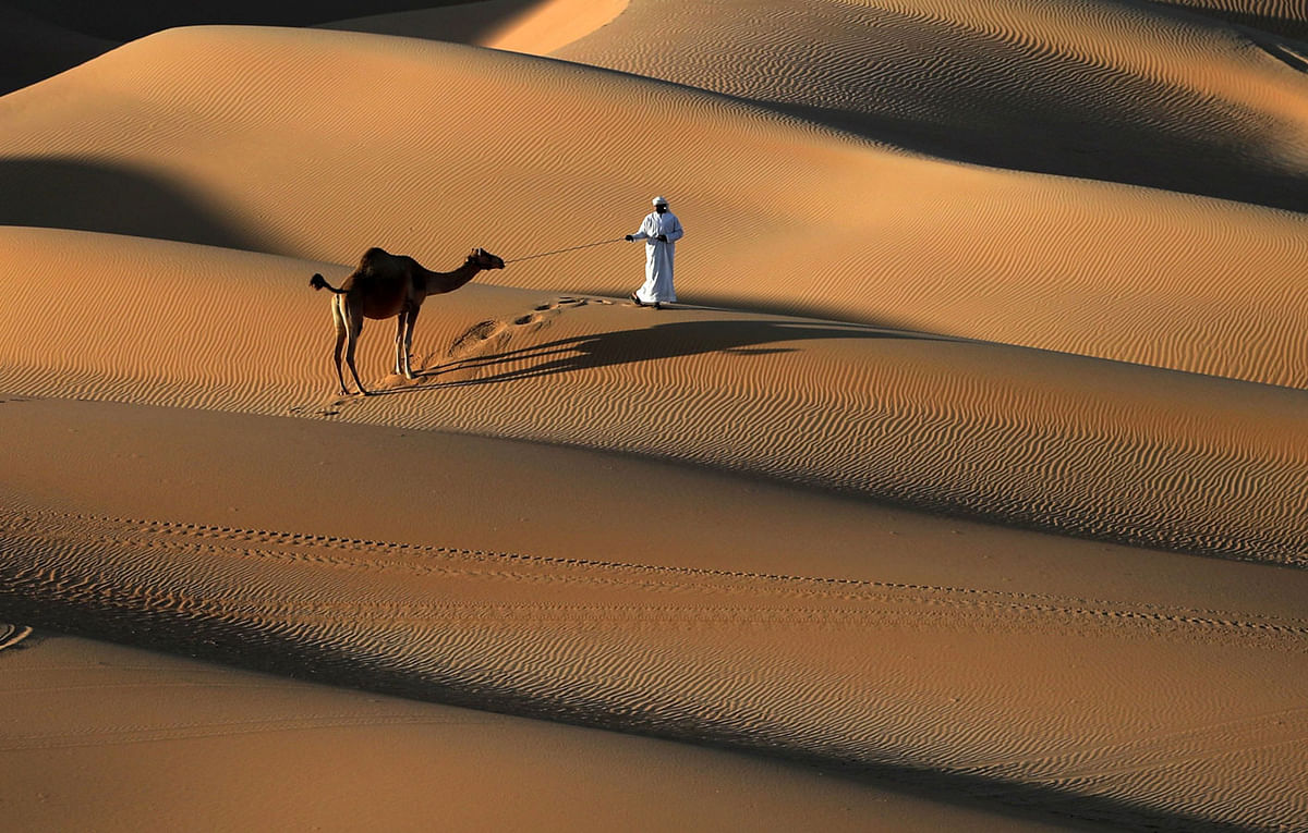 An Emirati man walks a camel across the Liwa desert, some 250 kilometres west of the Gulf emirate of Abu Dhabi, during the Liwa 2018 Moreeb Dune Festival on 2 January 2018. Photo: AFP