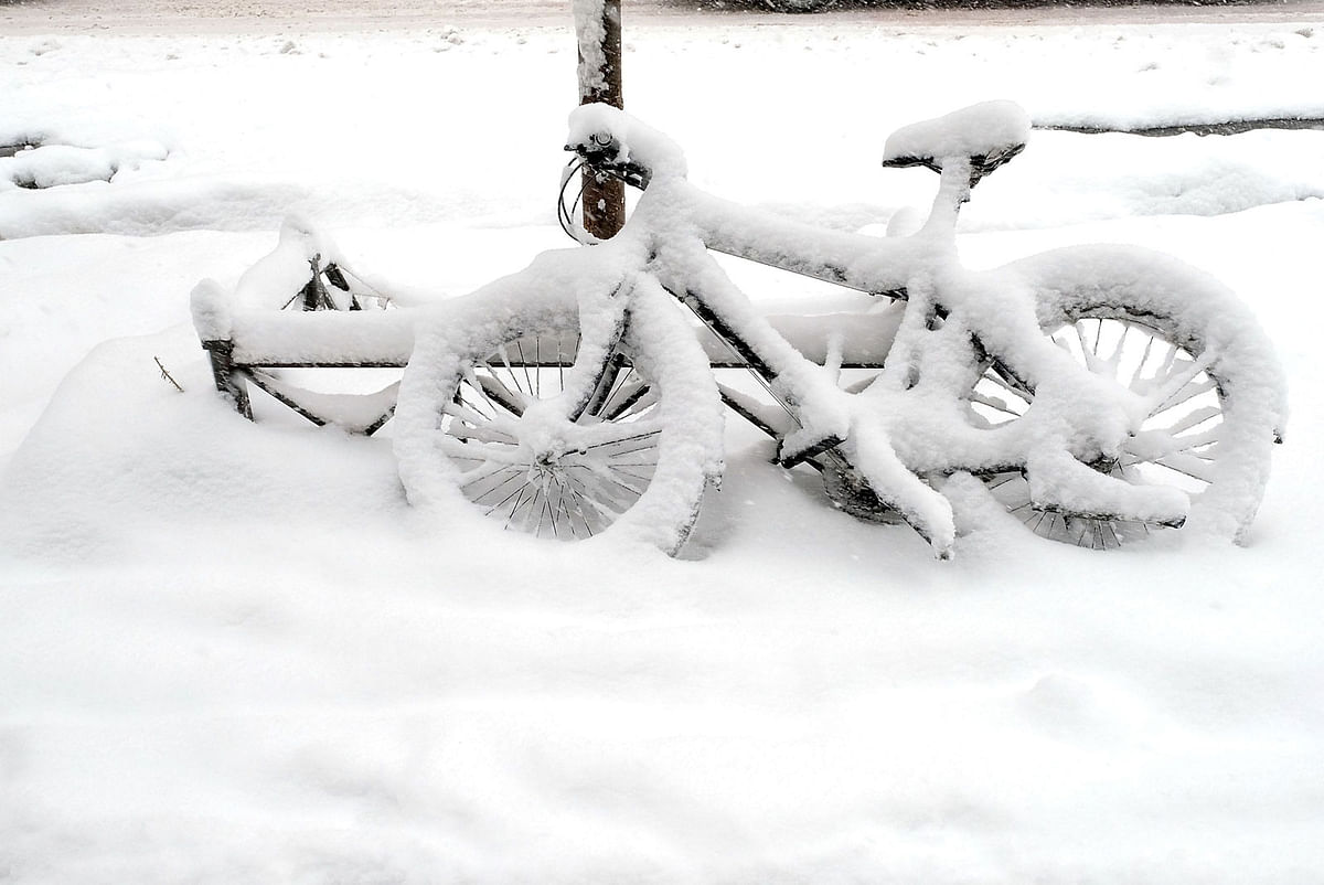 A bicycle chained to a tree is covered in snow during a massive winter storm on 4 January 2018 in New York City, US.Photo: AFP