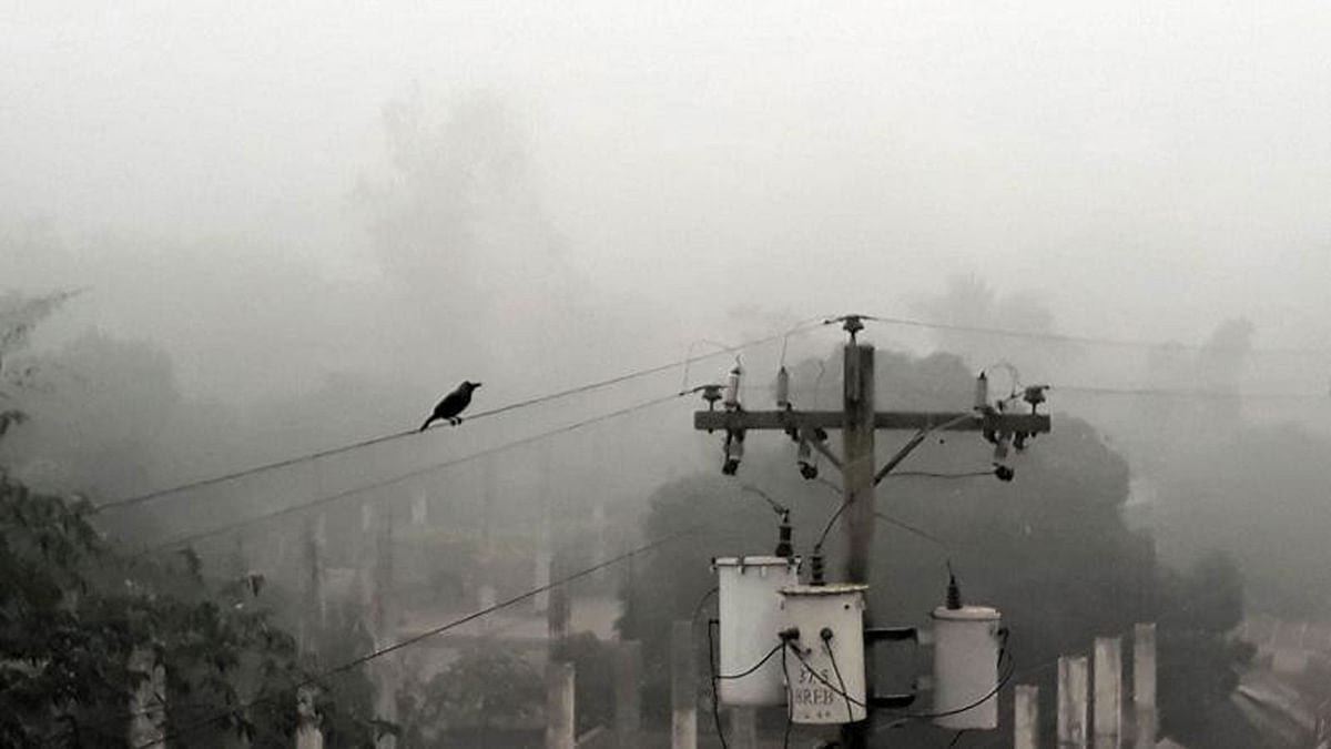 A crow is sitting on the electric wire on a foggy morning in Dhangara bazaar area of Sirajganj on 14 January 2018. Photo: Sajedul Alam
