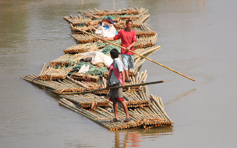 Traders float on bamboos along the river Machalong in Rangamati. They will sell the bamboos at the local market. Photo taken on 21 January by Nirab Chowdhury.