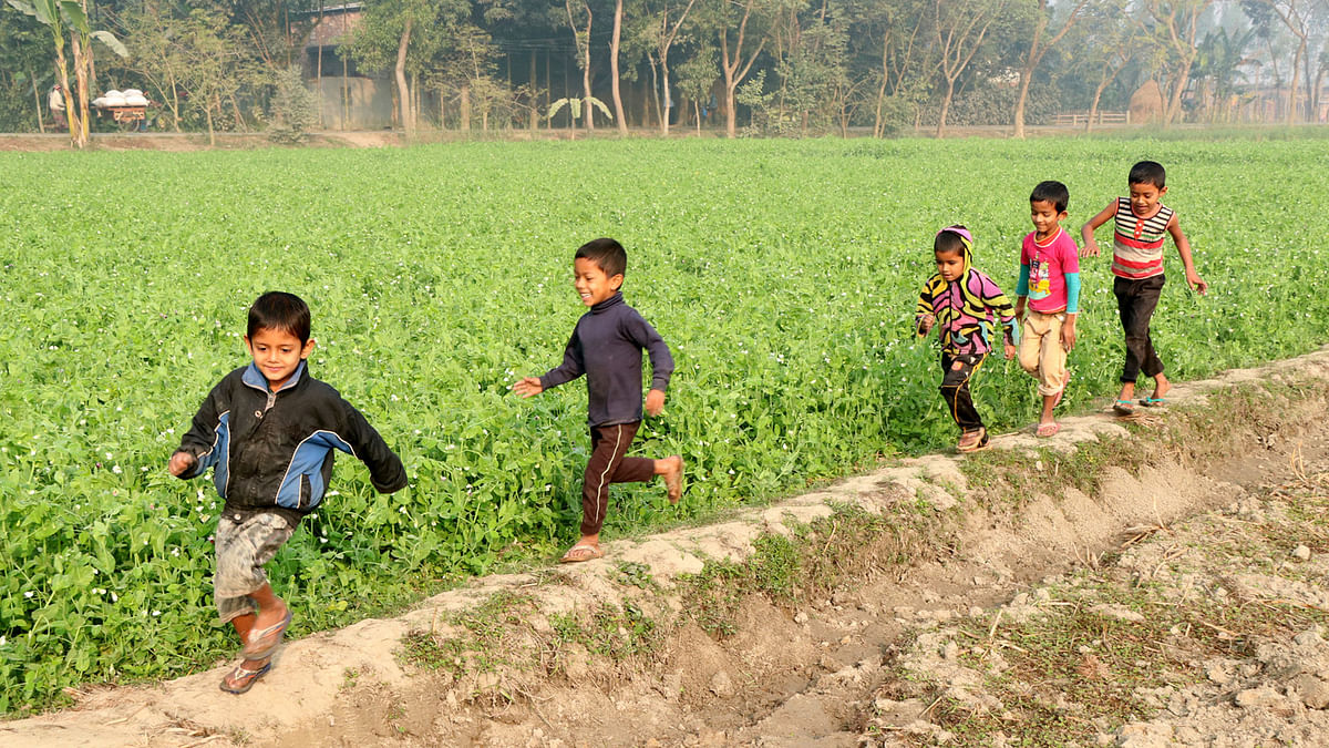 Children run between fields in Gabtali upazila of Bogra in 23 January 2018. Photo: Soel Rana