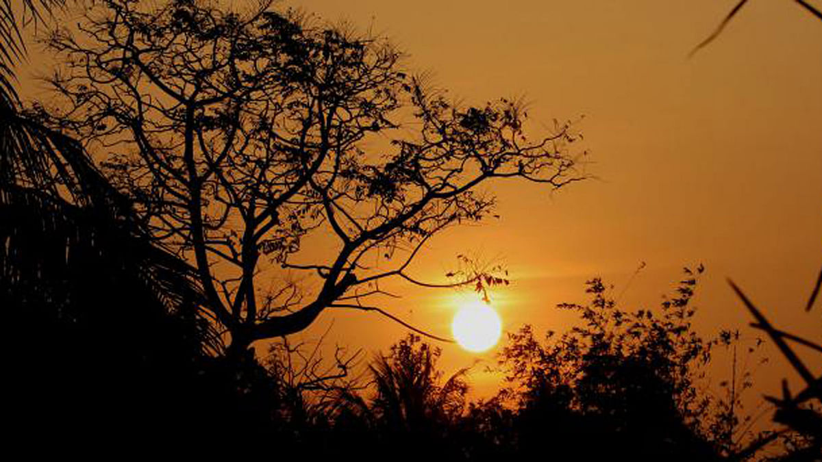 Sunset at Rail-linepara of Sharsha, Jessore on 28 January. Photo: Ehsan-Ud-Daula